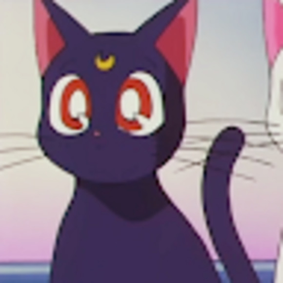 Meet your Posher, Bianca - Picture 1 of 1